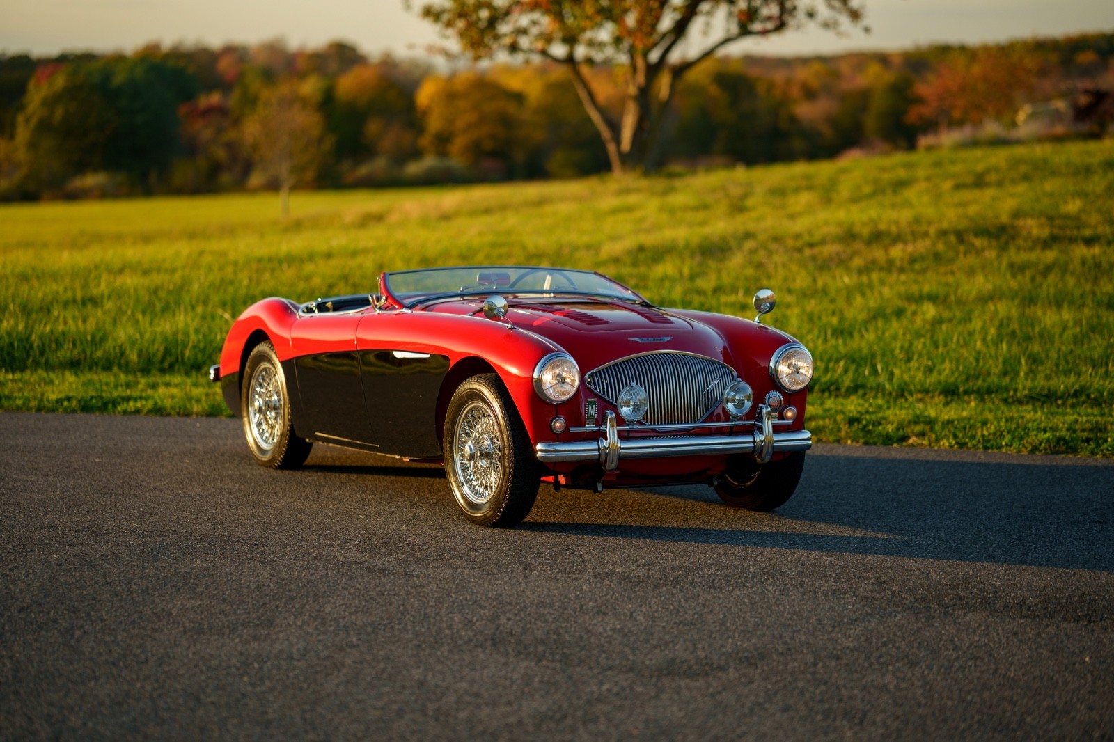 Austin-Healey-Other-1956-Convertible-2