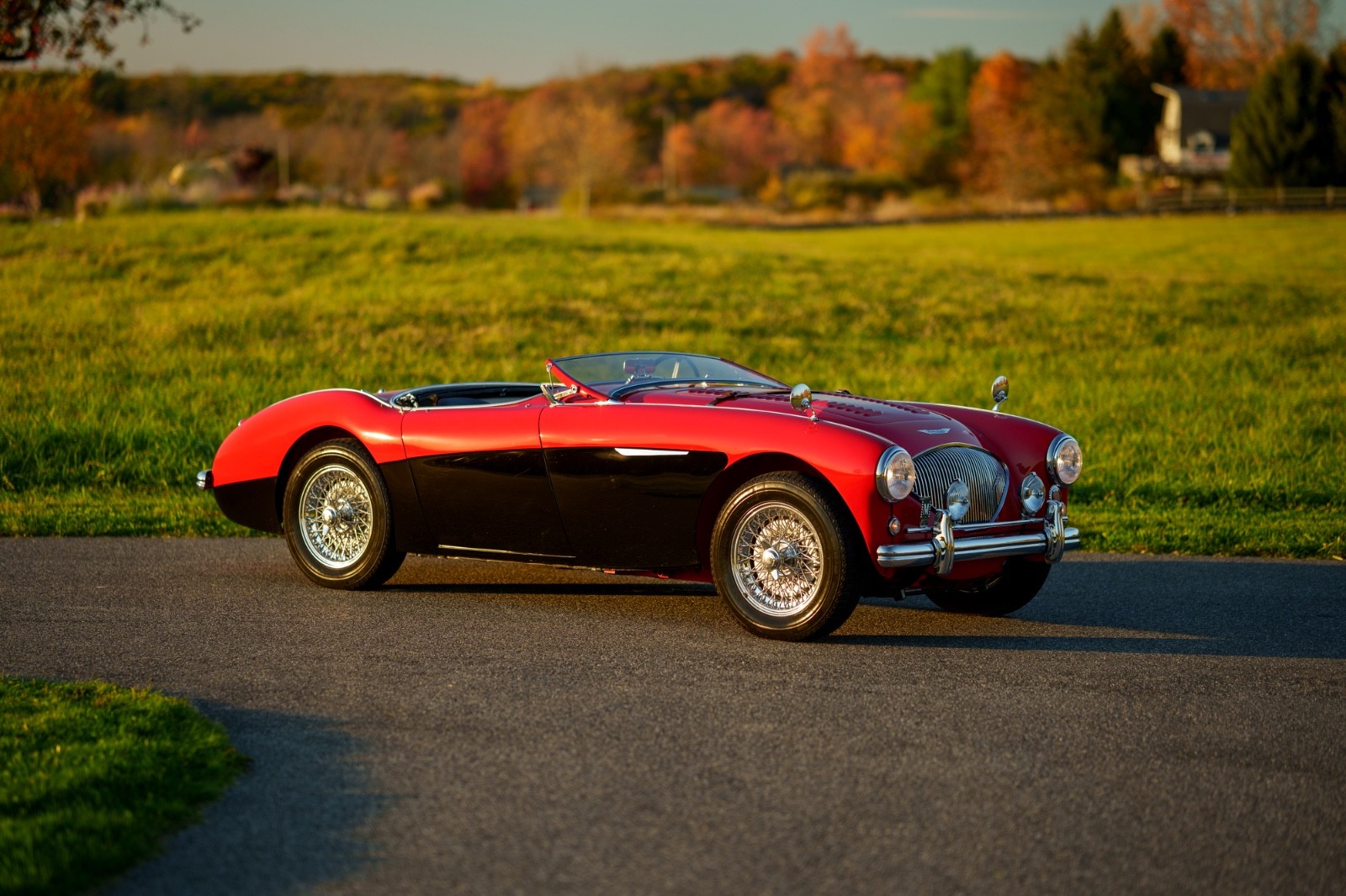 Austin-Healey-Other-1956-Convertible-3