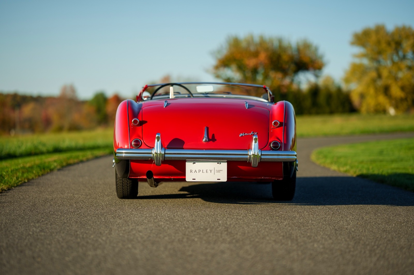 Austin-Healey-Other-1956-Convertible-5