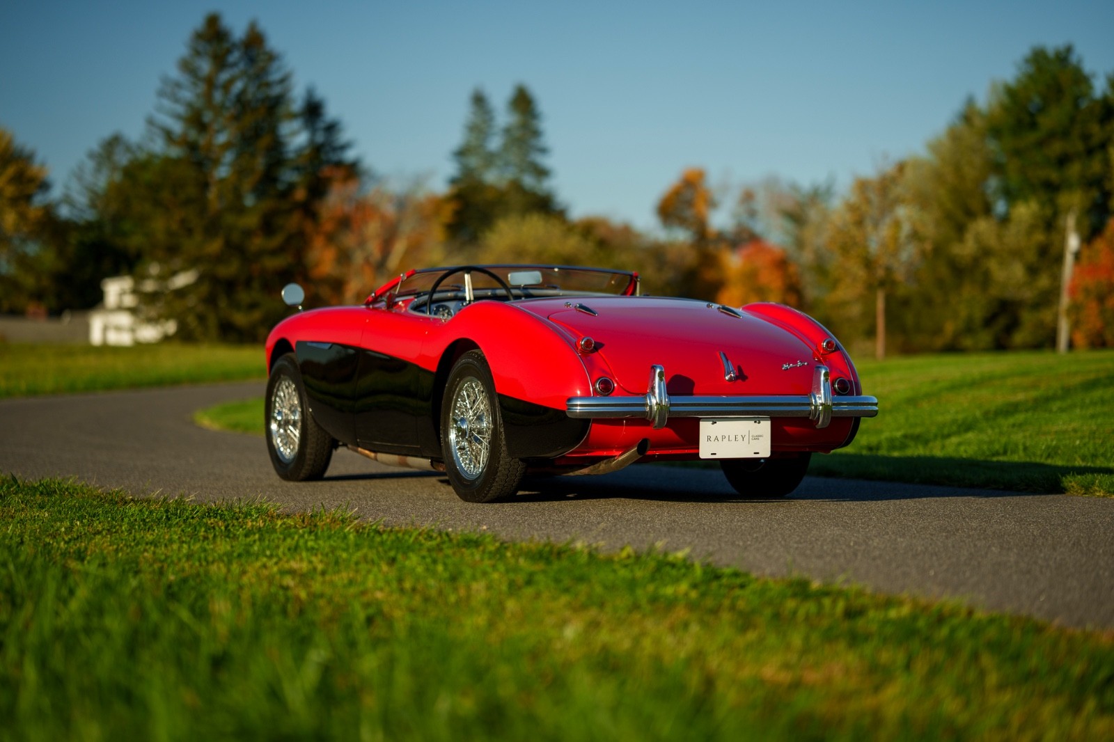 Austin-Healey-Other-1956-Convertible-6