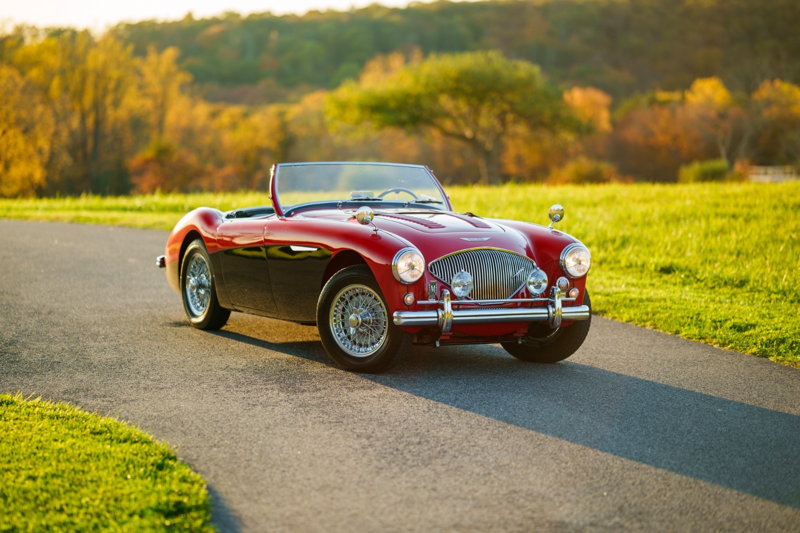 Austin-Healey-Other-1956-Convertible-7