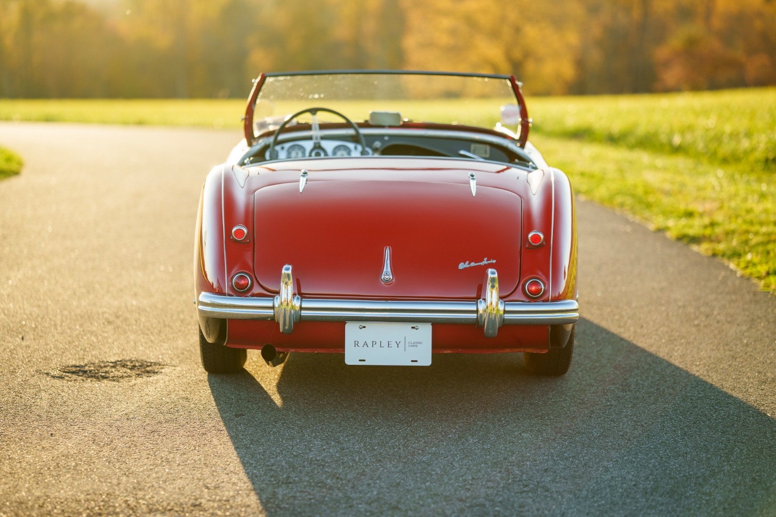 Austin-Healey-Other-1956-Convertible-8