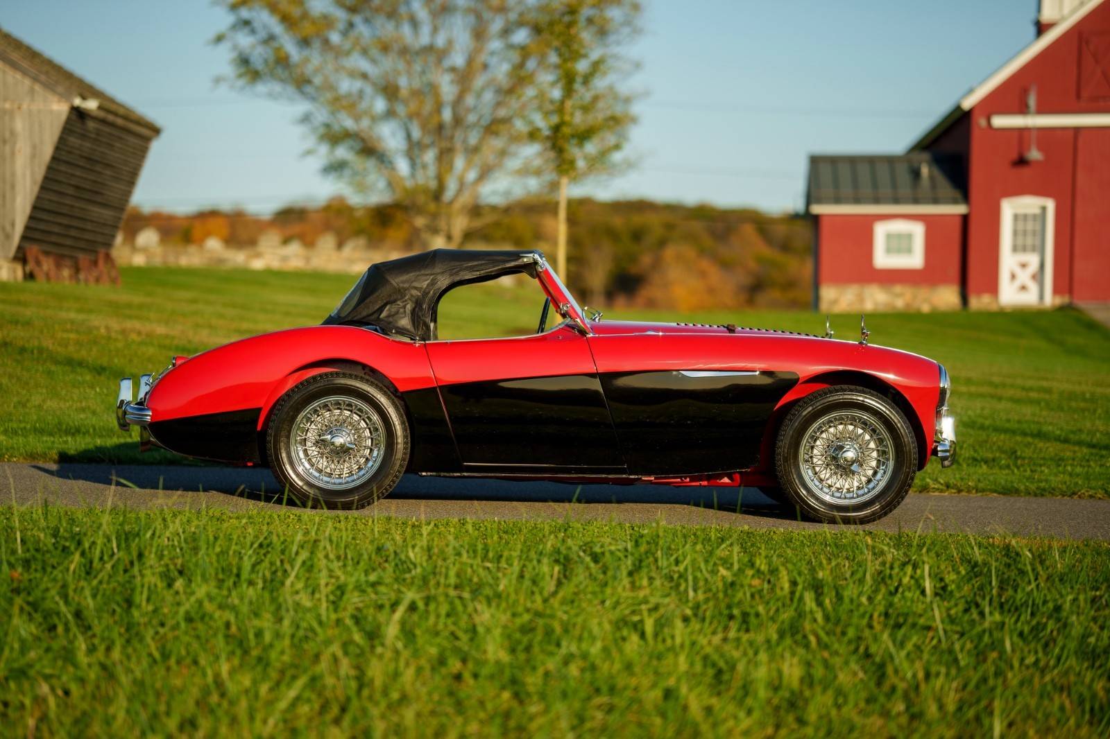 Austin-Healey-Other-1956-Convertible-9