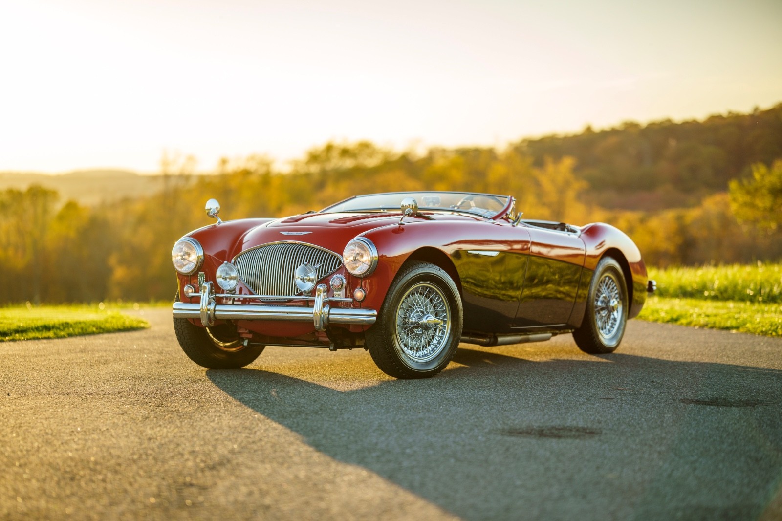 Austin-Healey-Other-1956-Convertible
