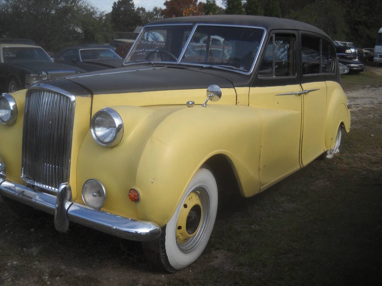 Austin-Mini-1963-Limousine-2