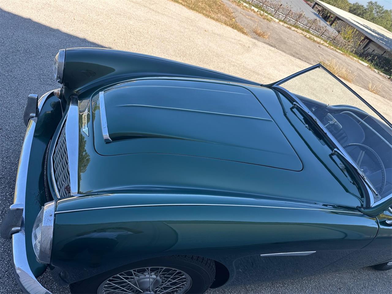 Austin-healey-100-6-1957-Green-Black-1