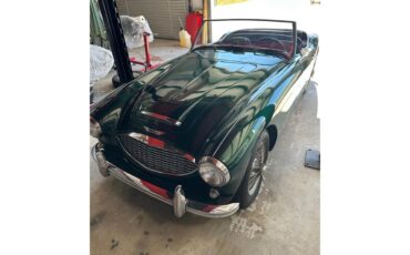 Austin-healey-100-6-1957-Green-Black-10