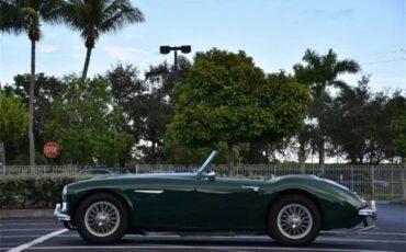 Austin-healey-100-6-1957-Green-Black-3