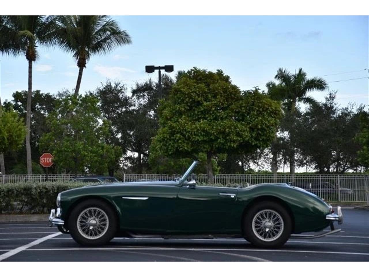Austin-healey-100-6-1957-Green-Black-3
