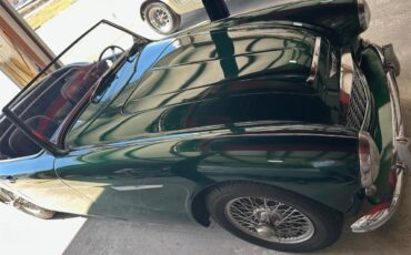 Austin-healey-100-6-1957-Green-Black