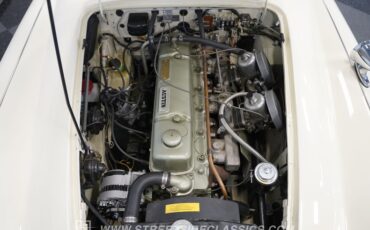 Austin-healey-3000-1963-Old-English-White-Black-40
