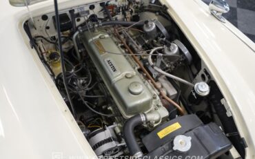 Austin-healey-3000-1963-Old-English-White-Black-41