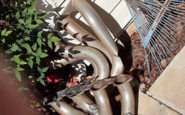 Beretta-chevy-1988-14