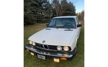 Bmw-528e-1985-White-Tanbeige-1