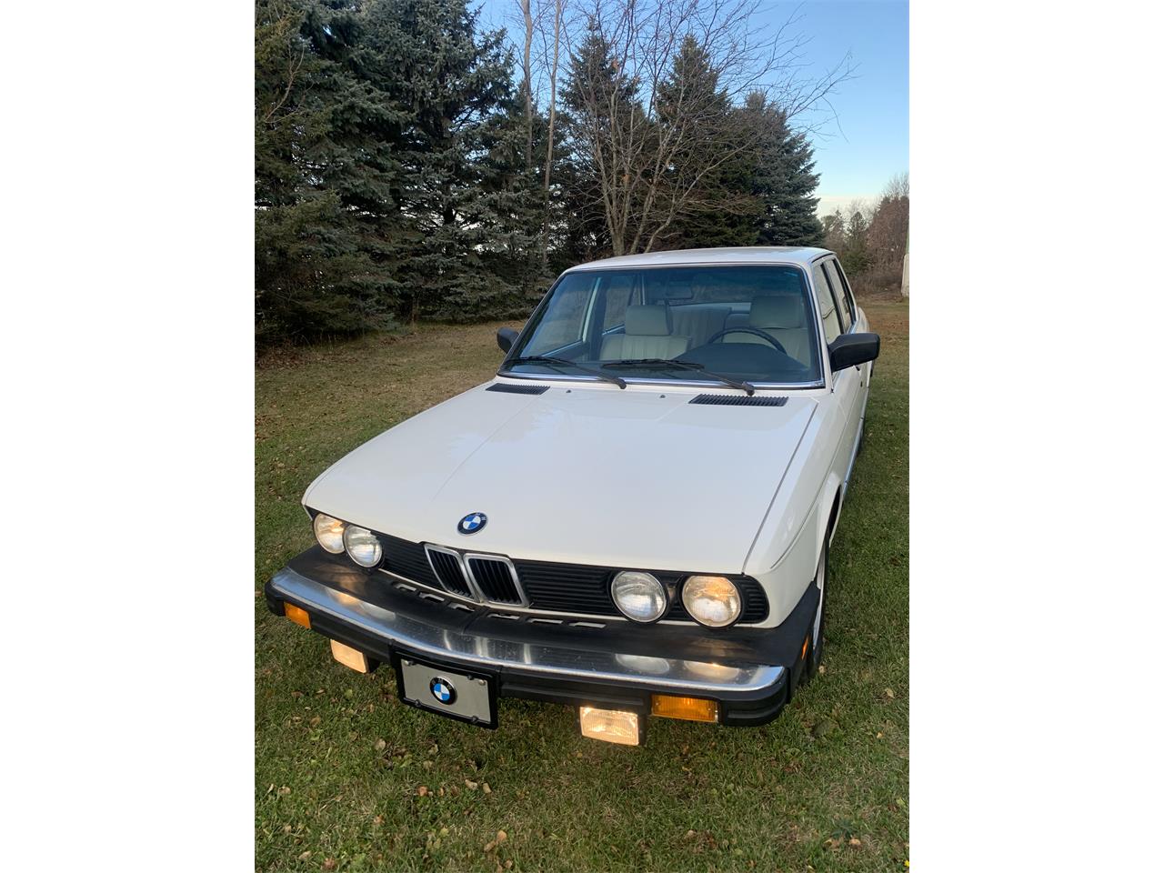 Bmw-528e-1985-White-Tanbeige-1