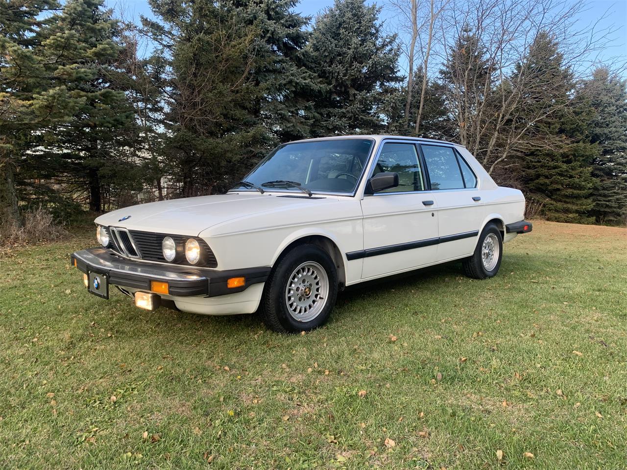 Bmw-528e-1985-White-Tanbeige-15
