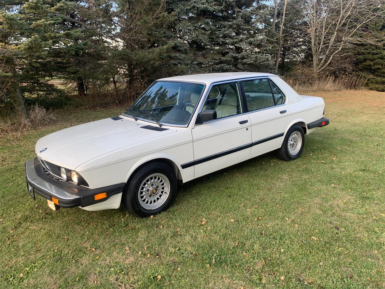 Bmw-528e-1985-White-Tanbeige-16