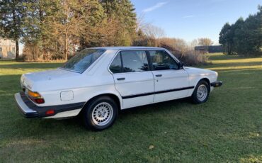 Bmw-528e-1985-White-Tanbeige-3