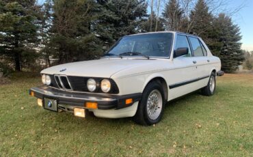 Bmw-528e-1985-White-Tanbeige