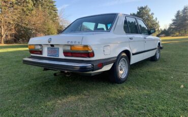 Bmw-528e-1985-White-Tanbeige-4