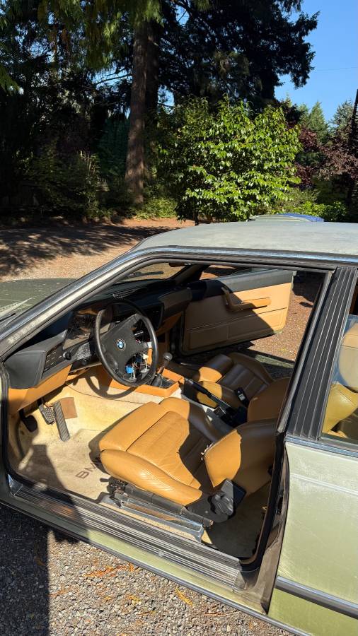 Bmw-630csi-1977-green-1