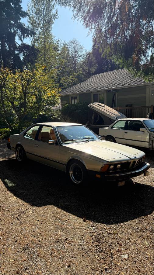 Bmw-630csi-1977-green-10