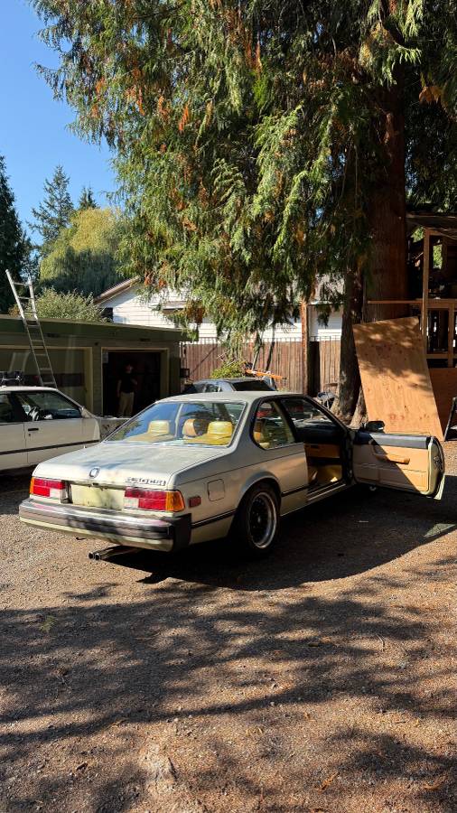 Bmw-630csi-1977-green-11