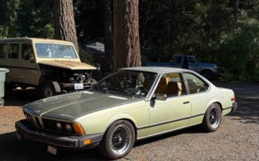 Bmw-630csi-1977-green-2