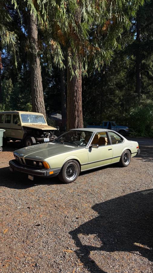 Bmw-630csi-1977-green-2