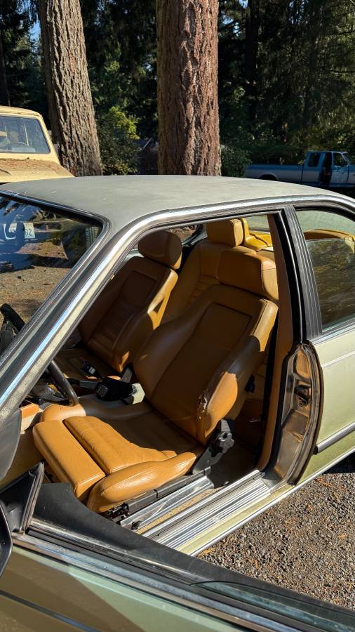 Bmw-630csi-1977-green-3