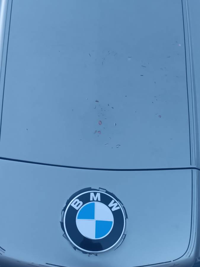 Bmw-635csi-1988-silver-18