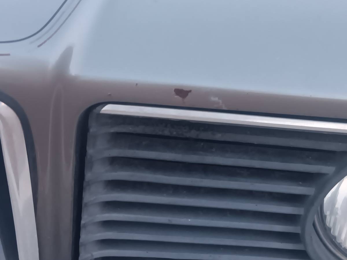 Bmw-635csi-1988-silver-4