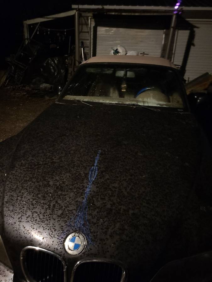 Bmw-z3-roadster-1996-black-3