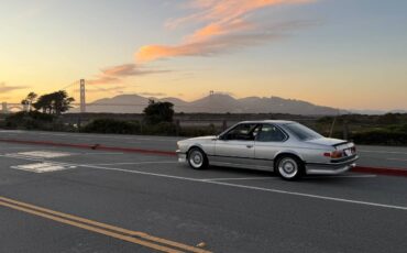 Bmwm635csi-dinan-stroker-3.9-liter-1985-silver-29