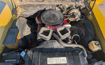 Buick-Gran-Sport-1971-Convertible-7