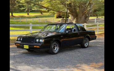 Buick-Grand-National-1987-Coupe-17