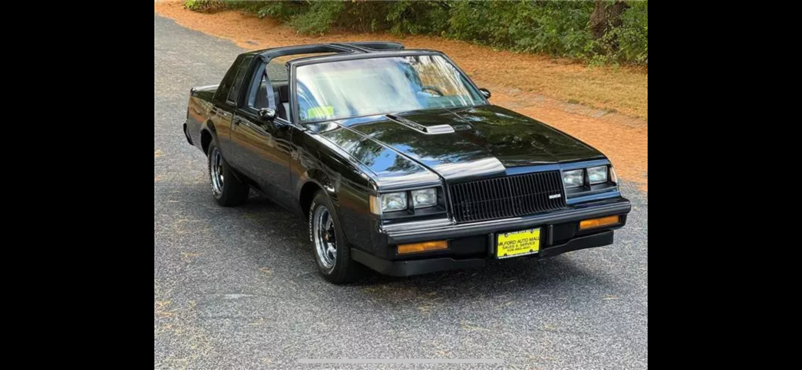 Buick-Grand-National-1987-Coupe-18