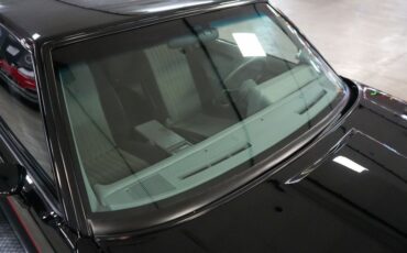 Buick-Grand-national-1987-Black-Gray-36