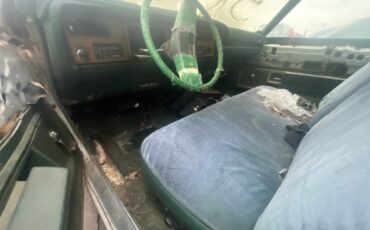 Buick-LeSabre-1973-Coupe-12