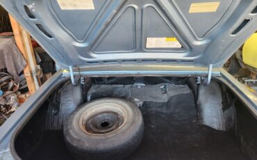 Buick-LeSabre-1985-Sedan-22