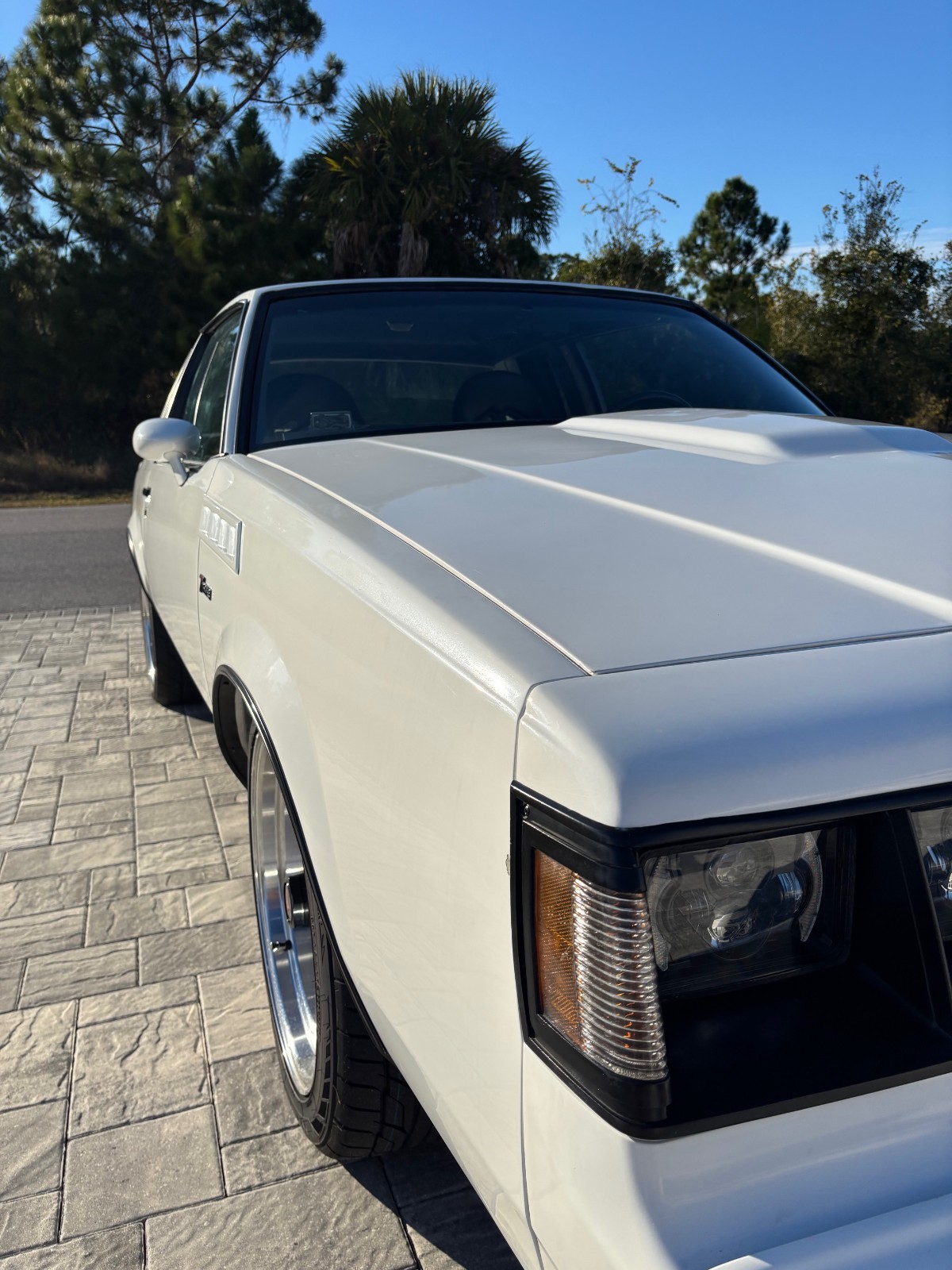 Buick-Regal-1984-Coupe-8