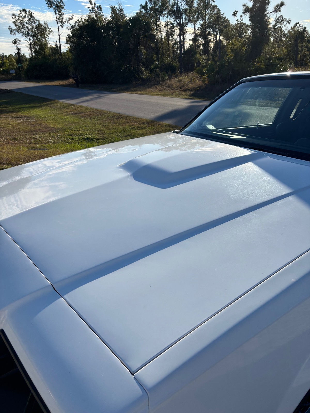 Buick-Regal-1984-Coupe-9