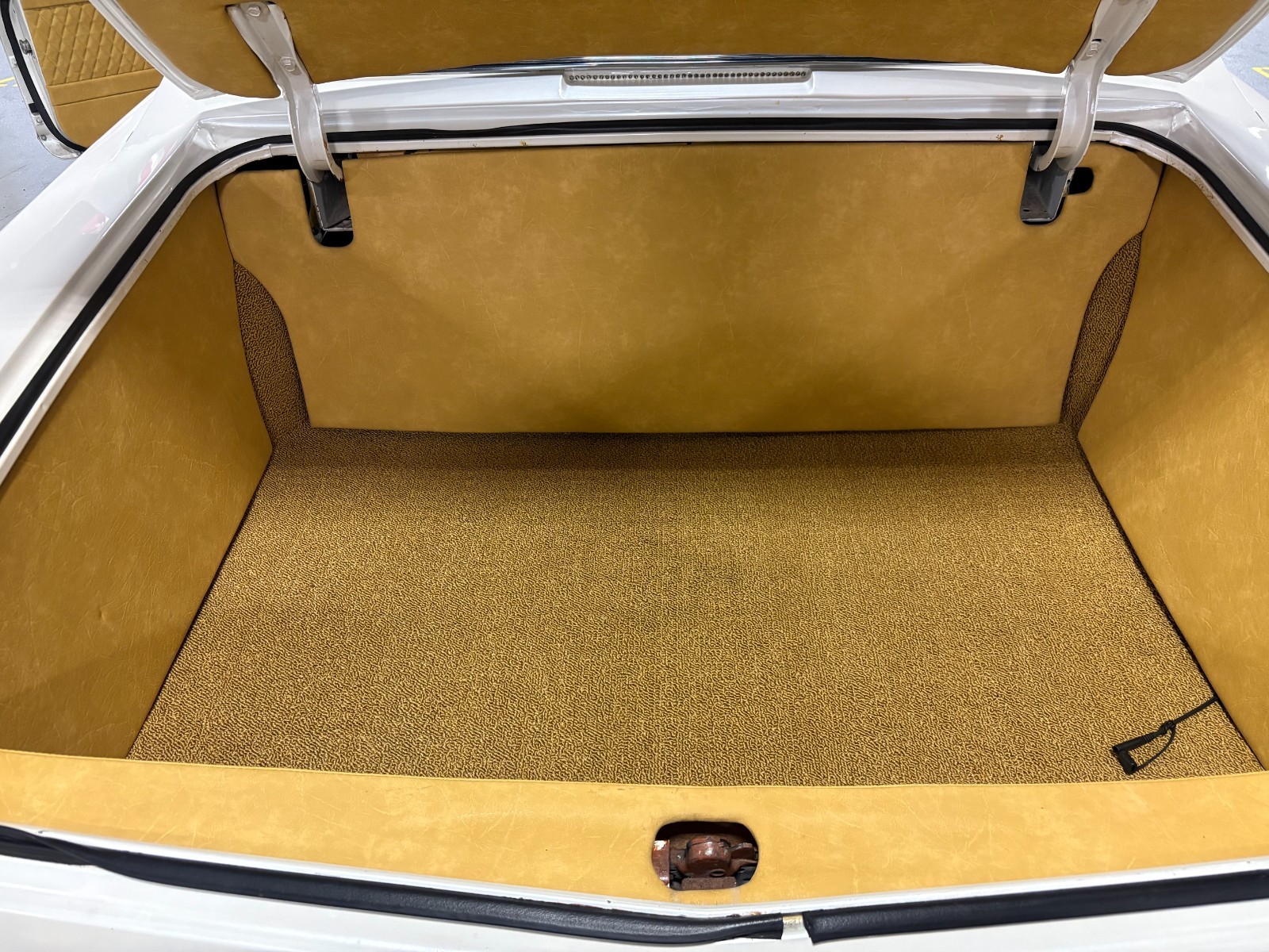 Buick-Riviera-1965-Coupe-12