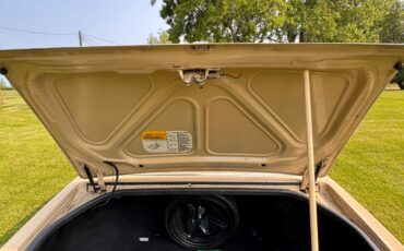 Buick-Riviera-1979-Coupe-16