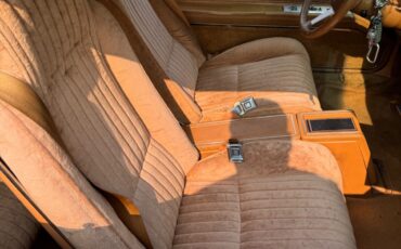 Buick-Riviera-1979-Coupe-18