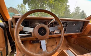 Buick-Riviera-1979-Coupe-21