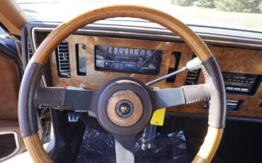 Buick-Riviera-XX-Anniversary-Edition-1983-Coupe-10