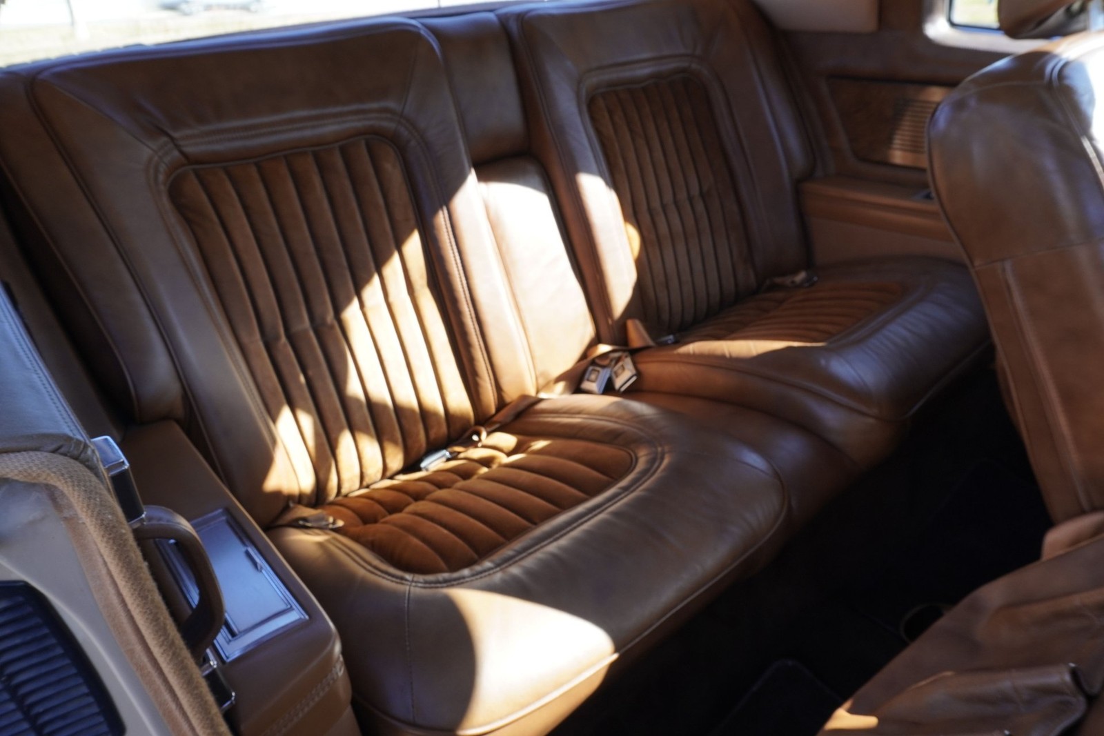 Buick-Riviera-XX-Anniversary-Edition-1983-Coupe-12