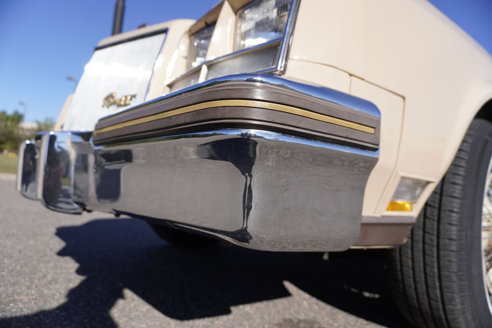 Buick-Riviera-XX-Anniversary-Edition-1983-Coupe-16