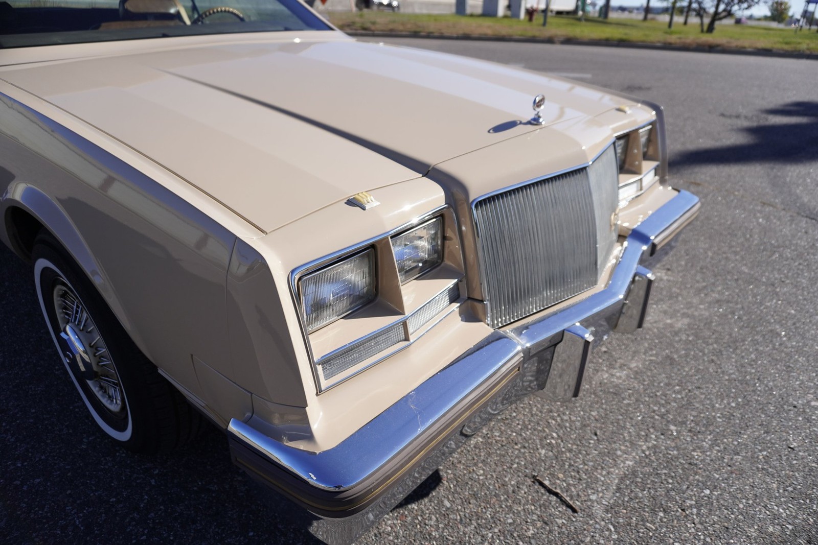 Buick-Riviera-XX-Anniversary-Edition-1983-Coupe-23